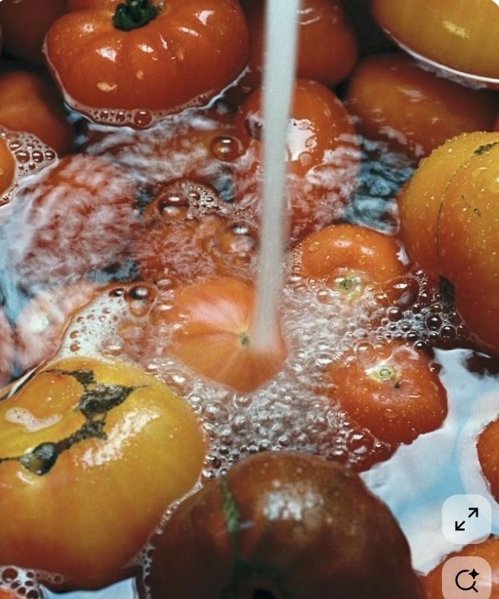 Summer produce close-up